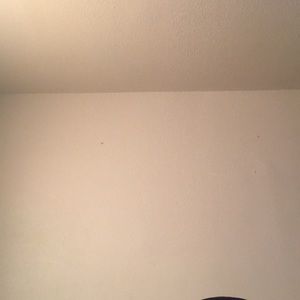 Meet your Posher, Jayson